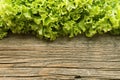 Fresh green lettuce salat on wooden background. Healthy food