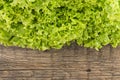 Fresh green lettuce salat on wooden background. Healthy food Royalty Free Stock Photo