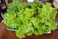 Fresh green lettuce on wooden table Royalty Free Stock Photo