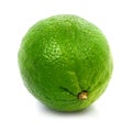 Fresh green lime fruit isolated healthy food Royalty Free Stock Photo