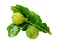 Fresh green lime. Kafir Royalty Free Stock Photo