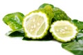 Fresh green lime. Kafir Royalty Free Stock Photo