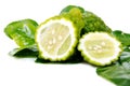 Fresh green lime. Kafir