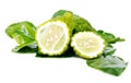 Fresh green lime. Kafir Royalty Free Stock Photo