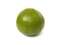 Fresh green lime texture. Royalty Free Stock Photo