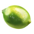 Fresh Green Lime On White Background, Fruit Close Up Royalty Free Stock Photo