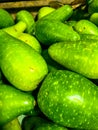 Fresh green long Bengali squash