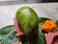 Fresh Green Mango fruit isolated on white background Royalty Free Stock Photo