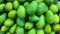 Fresh green mangoes Royalty Free Stock Photo