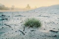 Fresh green meadow grass with dew drops in morning. Beautiful nature closeup field landscape with water droplets Royalty Free Stock Photo