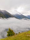 Fresh green meadow and misty peaks of Alps mountains in background