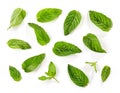 Fresh green mint leaves background Royalty Free Stock Photo