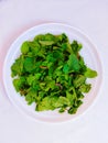 Fresh green mint leaves peppermint aromatic flavoring herb vegetable food ingredient in a plate image closeup view photo