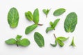 Fresh green mint leaves on white background Royalty Free Stock Photo