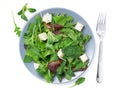 Fresh green mixed salad with spinach, rucola, romaine, lettuce and brie cheese, on white background, top view. Royalty Free Stock Photo