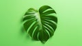 Fresh green monstera leaf isolated against a light green background. Generative AI Royalty Free Stock Photo