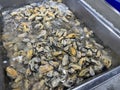 Fresh green mussels without shell stored with ice in a supermarket