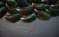 Fresh green mussels shellfish on dark background in Seafood restaurant Royalty Free Stock Photo