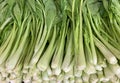 Fresh green mustard Brassica juncea, on vegetables market Royalty Free Stock Photo