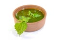 Green nettle soup. Royalty Free Stock Photo