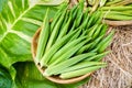 Fresh green okra in basket Royalty Free Stock Photo