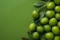 Fresh Green Olives With Leaves on a Textured Olive-Colored Background