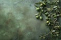 Fresh Green Olives With Leaves on a Textured Olive-Colored Background