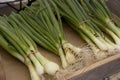 Fresh Green Onion Bunches