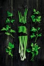 Fresh green onion and parsley on black desk