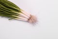Fresh green onion on a white background, onion with roots Royalty Free Stock Photo
