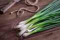 Fresh green onion on wooden table Royalty Free Stock Photo