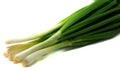 Fresh green onions Royalty Free Stock Photo