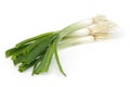 Fresh green onions