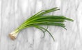 Fresh green onions bunch on a marble cutting board Royalty Free Stock Photo