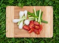 Fresh green onions and cherry tomatoes on the old wooden cutting board, closeup food, outdoors shot. Royalty Free Stock Photo