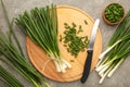 Fresh green onions on a cutting board on grey concrete background Royalty Free Stock Photo