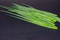 Fresh green onions isolated on white background