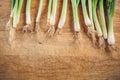 Fresh green onions lying on a wooden chopping Board. the view from the top