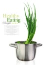 Fresh green onions Royalty Free Stock Photo