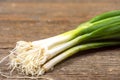 Fresh Green Onions on Wooden Cutting Board Royalty Free Stock Photo
