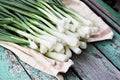 Fresh green onions Royalty Free Stock Photo