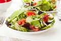 Fresh Green Organic Garden Salad Royalty Free Stock Photo