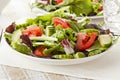 Fresh Green Organic Garden Salad Royalty Free Stock Photo