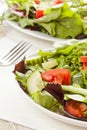 Fresh Green Organic Garden Salad Royalty Free Stock Photo