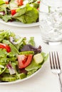 Fresh Green Organic Garden Salad Royalty Free Stock Photo