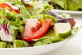 Fresh Green Organic Garden Salad Royalty Free Stock Photo