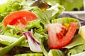 Fresh Green Organic Garden Salad Royalty Free Stock Photo