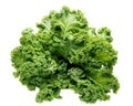 Fresh green organic kale leaves isolated on white