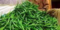 fresh green organic produce chilies stock  on farming produce goods store Royalty Free Stock Photo