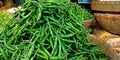 fresh green organic produce chilies stock isolated on farming produce goods store Royalty Free Stock Photo